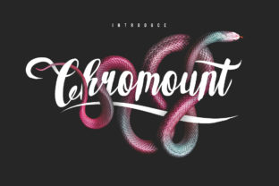 Chromount Script: A Designer’s Real-World Review