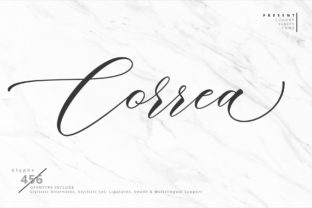 Correa Script: The Font That Elevates Your Campaigns