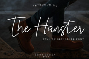 Font Choice for Campaigns: Hanster Script