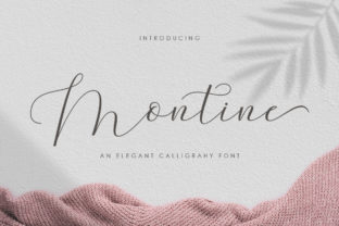 Montine Script: A Designer’s Real-World Review