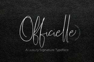 Officielle Script: A Handwritten Font for Modern Web Design