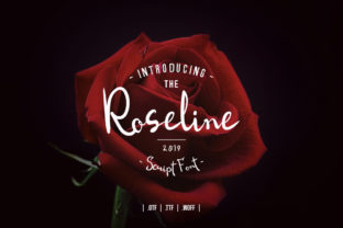 Roseline Script: A Font That Adds Personality to Your Campaigns